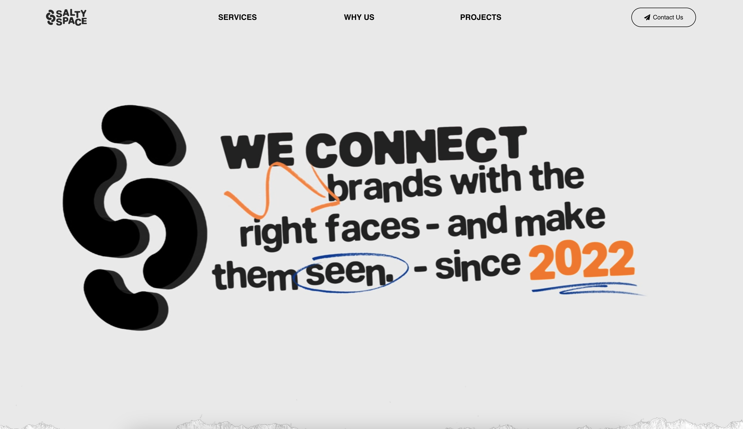 Salty Space website preview